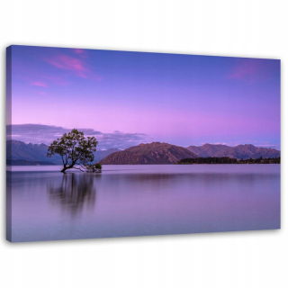 Picture Feeba Tree Uprostred jazera 1 120 x 80 cm