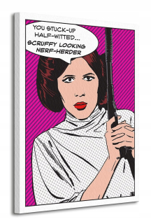 Star Wars princezná Leia image 60x80 cm