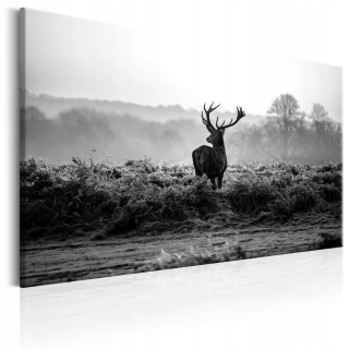 Obrázok - jeleň vo voľnej prírode - 120x80