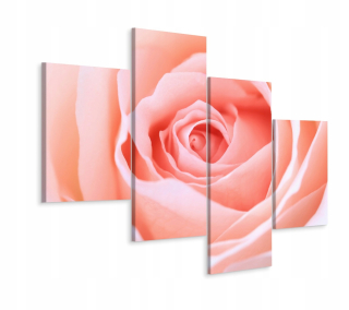 Obrázok Ruža Kvet Príroda 3D Makro 4 diely 240x150