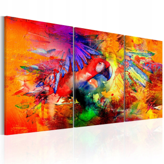 Obrázok - farebný papagáj - 120x60