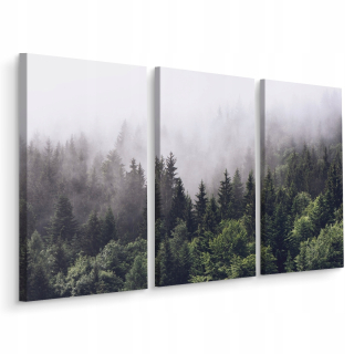 Obrázok les v hmlovej prírode Triptic Decor 3d 150x100