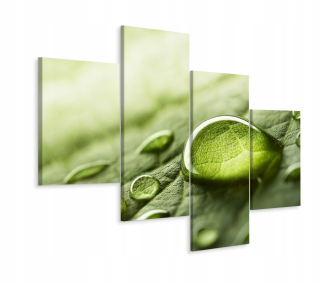 Picture Leaf Water Drops Decor 3d 4 diely 240x150