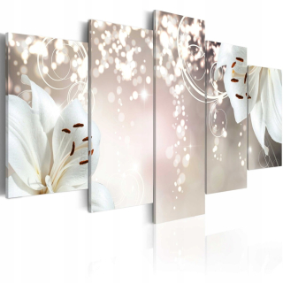 Obrázok - Magic White 225x112.5