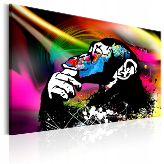Obrázok - Disco Monkey - 120x80