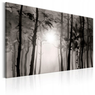 Obrázok - Foggy Forest - 120x80