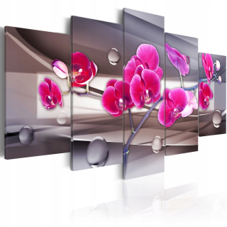 Obrázok - orchidea na tlmenom pozadí 225x112.5