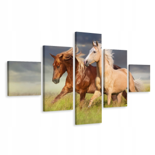 Penaptický obrazový kone v cvalovej prírode 3d 200x120