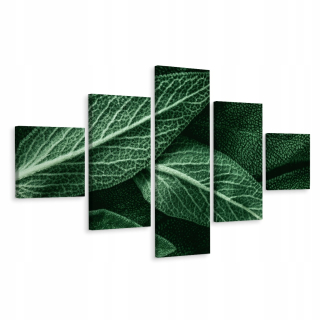 Penaps Image Green Listy Up Up Close 3d 250x150