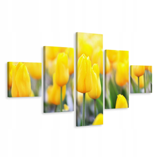 Penaptický obrázok žlté kvety tulipány 3d 250x150