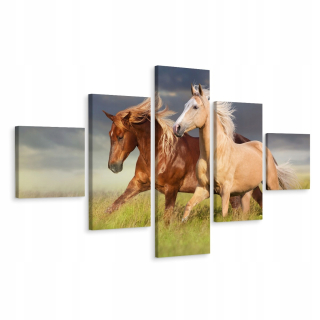 Obrázok koní polyptych v Gallop Nature 3d 150x90