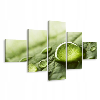 Picture Polyptych Water Drops Makro Leaf 3d 200x120