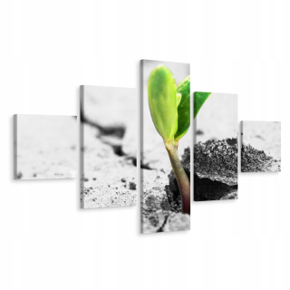 Obraz Poliptych Naklíčenie RASTLINA Dekor 3D 200x120