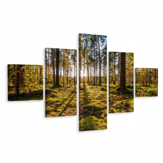 Obrázok Polyptych Forest Sun Moss 3D zeleň 250x150