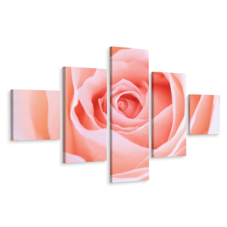 Obraz Poliptych RUŽA Kvet Príroda Makro 3D 250x150
