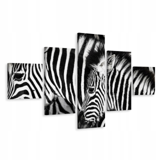 Zebra Polyptych Obrázok Čierne a biele kone 150x90