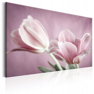 Obrázok - romantické tulipány - 120x80