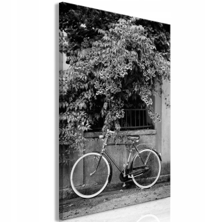 Obrázok - bicykel a vertikálne kvety - 80x120
