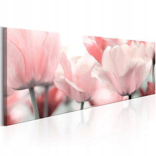 Obrázok - ružové tulipány - 150x50