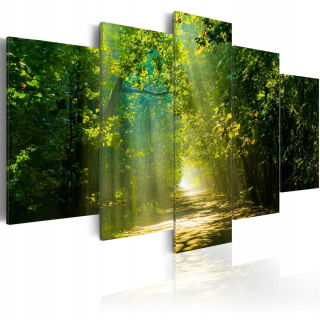 Obrázok - Sunny Road 225x112.5
