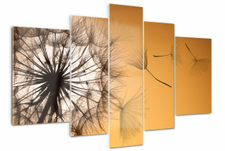 Foto obrázok sklo Triptych Danderation Flowers