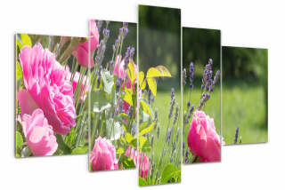 Foto obrázok sklo Triptych Wild Rose Flowers