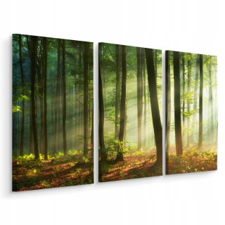 Obrázok Triptych Tree Forest Green Landscape 3d 150x100