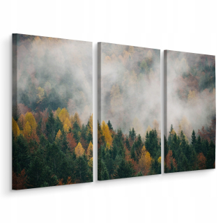 Obrázok Foggy Triptych Forest Autumn Nature 3d 150x100