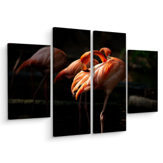 Obrázok tetraptické plameniaky vtáky príroda 3d 160x120