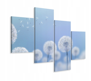 Obrázok Tetrapptyk Flowers Dandruff Nature 3d 240x150