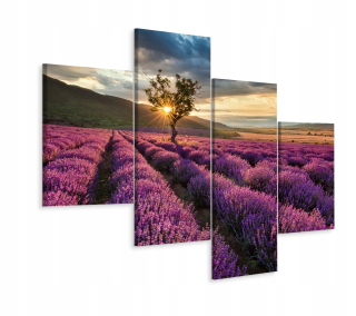 Obrázok tetraptického levanduľového západu 3d 240x150