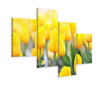 Tetraptyk obrazové pole Žlté tulipány 3d 240x150