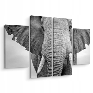 Obrázok Tetrapptych Elephant Up Close Nature 3d 160x120