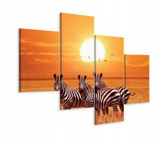 Obrázok Tetraraptyk Sun Zebra 3D Zvieratá 240x150