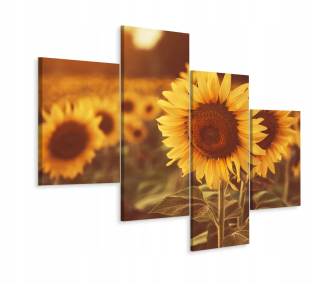 Tetraptych obraz SLNEČNICE Kvety Krajina 240x150