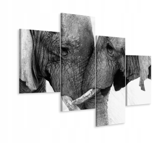 Obrázok Tetraptyk Elephants Zvieratá príroda 3d 240x150