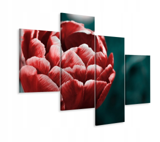 Obrázok Tetraptický tulip kvetinu up zblízka 3d 240x150