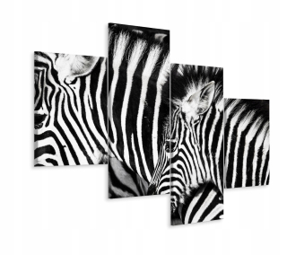 Obrázok tetraptických divokých zvierat zebra 3d 240x150