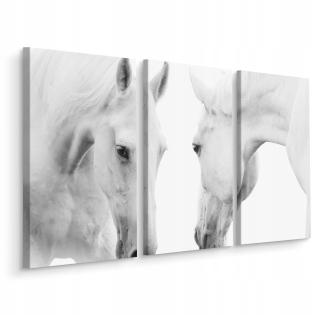Obrazový triptych Biele KONÍ Zvieratá Dekor 180x120