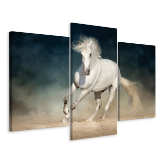 Obrázok Triptych White Horse v Gallop DeKor 3d 180x120