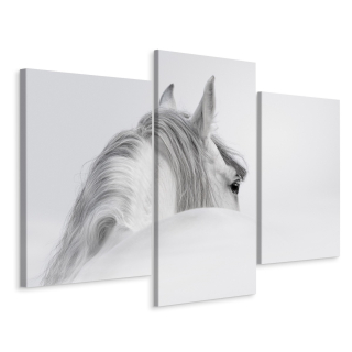 Obrázok Triptych White Horse in Fog Nature 3d 180x120