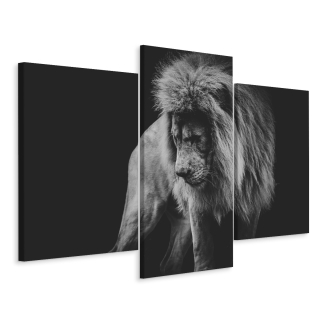 Triptych Divoká mačka, lev, dekor efekt, 3D efekt 180x120