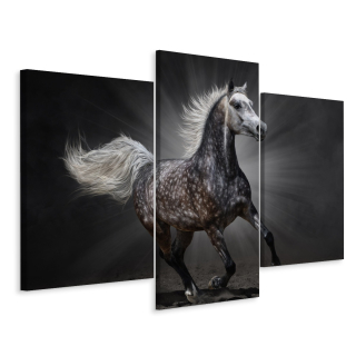 Obrázok Triptych Calloping Horse 3d 180x120
