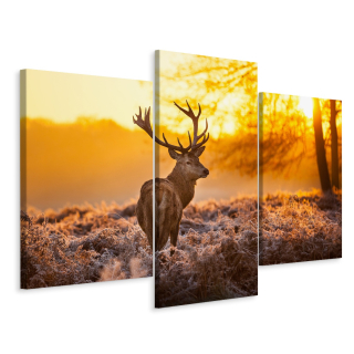 Obrázok Triptych Deer Sunset v lese 180x120