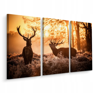 Obrázok Triptych Deer Forest Sun Nature 3d 180x120