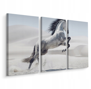 Obrázok Triptych Horse Desert Natura DeKor 3d 180x120