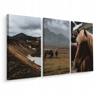 Picture Triptych Horses Mountain Landscapes 3d 150x100