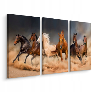 Picture Triptych Kone v Gallop 3D Desert 150x100