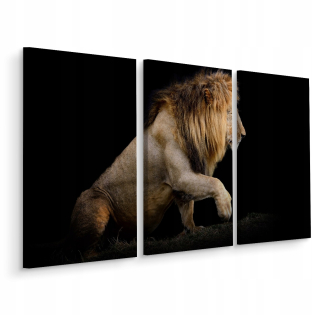 Obrázok Triptych Lion Wild Cat Decor Decor 180x120