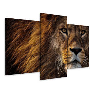 Obrázok Triptych Lion Portrét Animal Decor 3d 180x120
